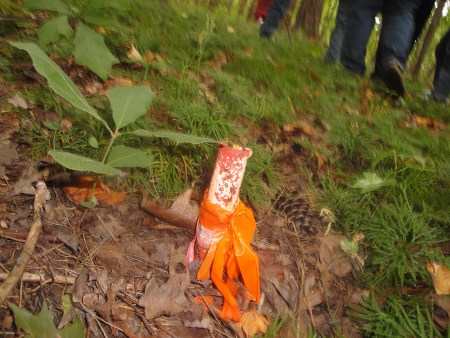 DSC53